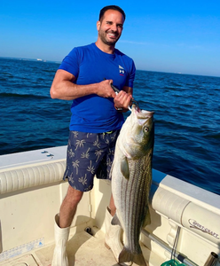 Striped bass catch on fishing boat in Port Monmouth Road NJ waters