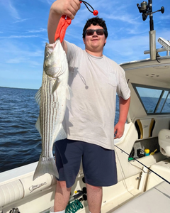 Striped bass caught fishing on boat in Port Monmouth Road NJ waters