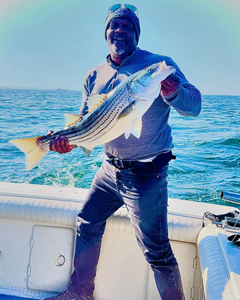 Striped bass catch on fishing boat in Port Monmouth Road NJ waters