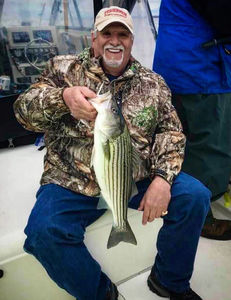 Striped bass catch displayed on fishing boat in Port Monmouth Road NJ