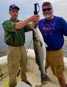 Striped bass caught on fishing charter in Port Monmouth Road NJ waters