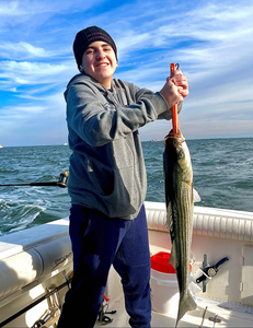 Striped bass catch held up on fishing boat in Port Monmouth Road NJ waters