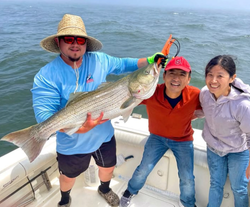 Striped bass catch on fishing boat in Port Monmouth Road NJ waters