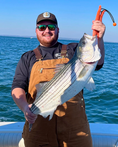 Striped bass catch displayed on fishing boat in Port Monmouth Road NJ waters