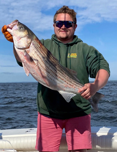 Large striped bass caught fishing in Port Monmouth Road NJ waters