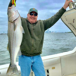 Striped bass catch displayed on fishing boat in Port Monmouth Road NJ waters