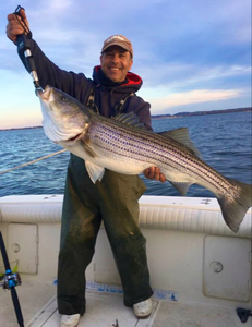 Striped bass catch on fishing boat in Port Monmouth Road NJ waters