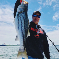 Large striped bass caught while fishing at Port Monmouth Road NJ