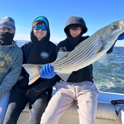 Striped bass catch displayed on fishing boat in Port Monmouth Road NJ waters