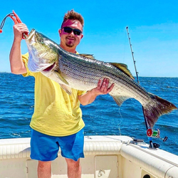 Striped bass catch displayed on fishing boat in Port Monmouth Road NJ waters