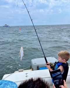 New Jersey Fishing for Inshore Species