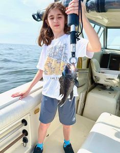 Photograph of a sea bass caught on a fishing trip at Port Monmouth Road