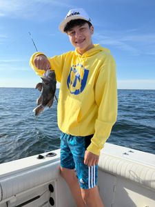 Fishing for Sea Bass on Port Monmouth Road