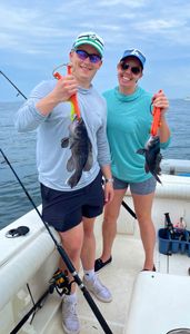 Two sea bass caught in NJ