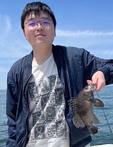 Photograph of a sea bass catch on Port Monmouth Road