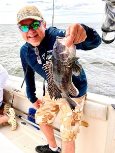 Sea Bass caught on fishing trip at Port Monmouth Road