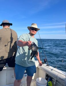 Sea bass fishing on Port Monmouth Road