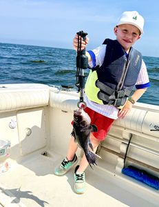 Sea bass fish caught on fishing trip at Port Monmouth Road