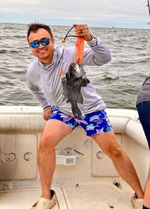 A sea bass caught on a fishing trip at Port Monmouth Road