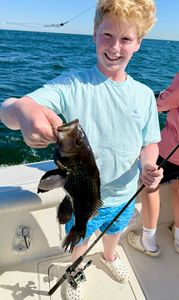 Angler catching a sea bass on Port Monmouth Road