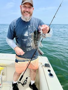 Photograph of a sea bass caught while fishing on Port Monmouth Road