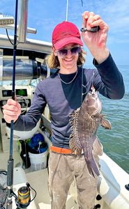 Sea bass caught on fishing trip at Port Monmouth Road