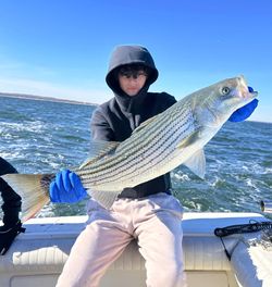 A large striped bass caught while fishing in NJ