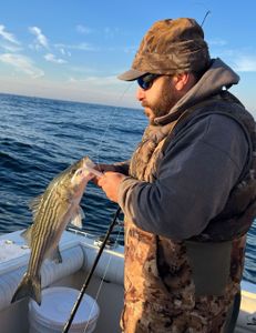 Striped bass fish caught in NJ