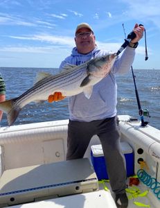 Striped bass caught by one person in NJ