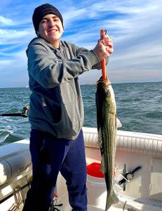Striped bass caught while fishing in NJ