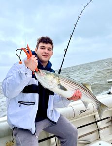 Striped bass caught fishing in NJ
