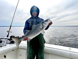 Striped bass fishing at Port Monmouth Road