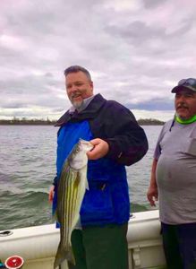 Striped bass caught on fishing trip in Port Monmouth Road