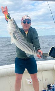 Striped bass caught on fishing trip at Port Monmouth Road
