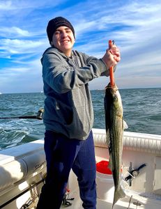 Striped bass caught on fishing trip at Port Monmouth Road