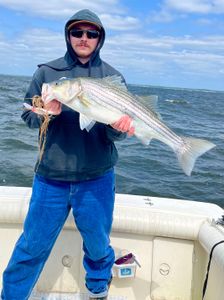 Striped bass caught on fishing trip at Port Monmouth Road
