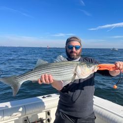 Striped bass caught on fishing trip at Port Monmouth Road