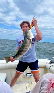 Striped bass caught while fishing at Port Monmouth Road