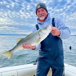 Striped bass caught by angler in NJ