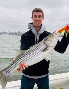 Striped bass caught in NJ
