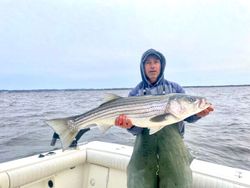 Striped bass caught on Port Monmouth Road