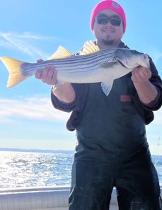 Striped bass caught while fishing on Port Monmouth Road
