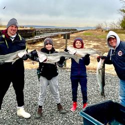 Striped bass fishing at Port Monmouth Road