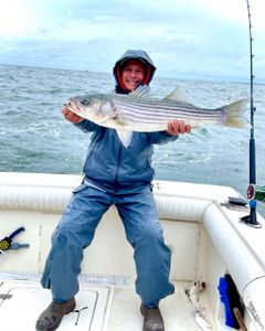 Striped bass caught on fishing trip at Port Monmouth Road