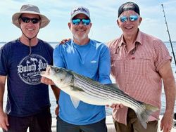 Striped bass catch displayed during fishing trip in Port Monmouth Road NJ
