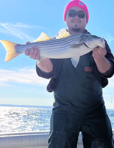 Striped bass catch displayed on fishing boat in Port Monmouth Road NJ waters