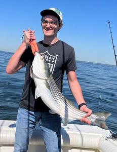 Fresh caught striped bass from Port Monmouth Road NJ fishing trip