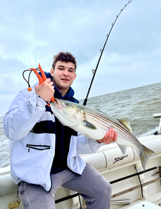 Striped bass caught during fishing trip in Port Monmouth Road NJ on sportcraft boat