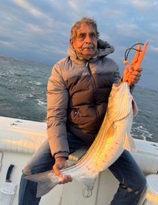 Striped bass caught while fishing in Port Monmouth Road NJ waters
