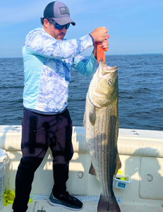 Large striped bass catch displayed on fishing boat in Port Monmouth Road NJ waters